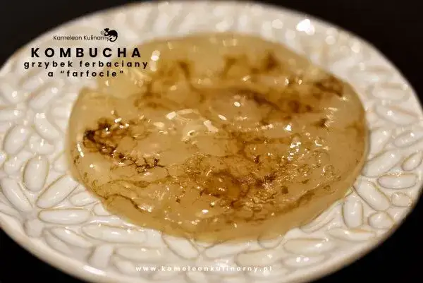 Zepsuta kombucha? Rozpoznaj pleśń i pij bezpiecznie!