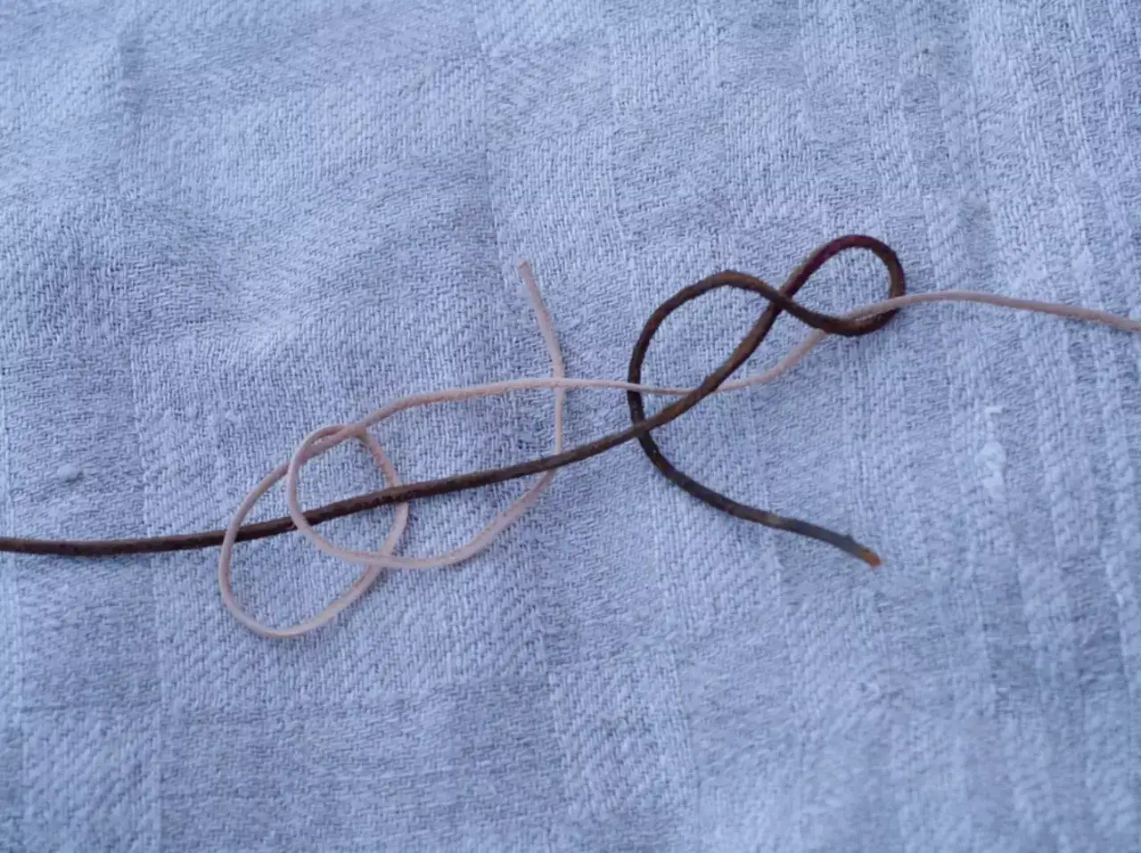 Jak zawiązać bransoletkę: proste metody na idealny węzeł