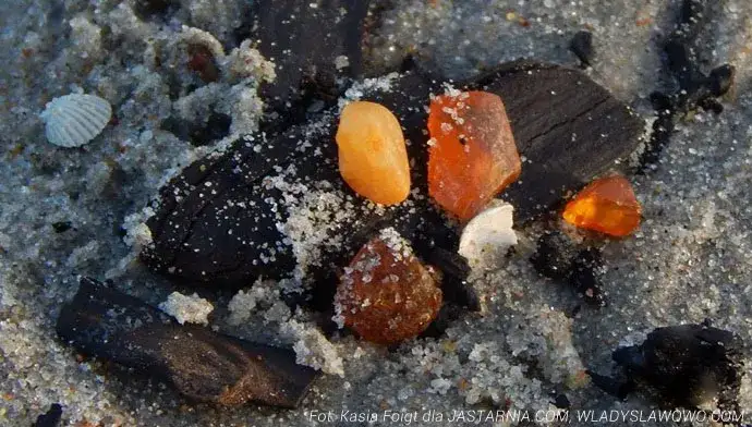 Bursztyn na Bałtyku: Gdzie i jak szukać, by znaleźć złoto północy?