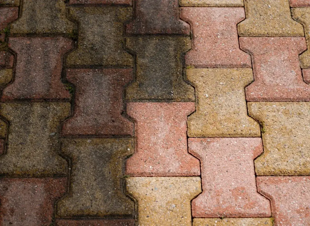 Brudna kostka brukowa z widocznymi glonami, która pokazuje, jak usunąć glony z kostki brukowej. Połowa nawierzchni jest czysta i kolorowa, druga połowa ciemna i zarośnięta.