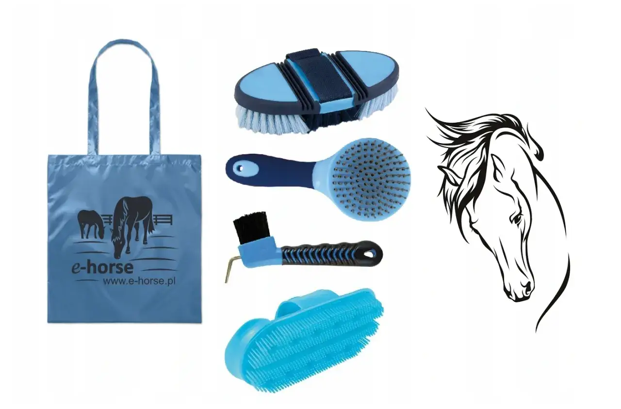 York jeździectwo: Polska marka. Oferta, opinie czy warto kupić?