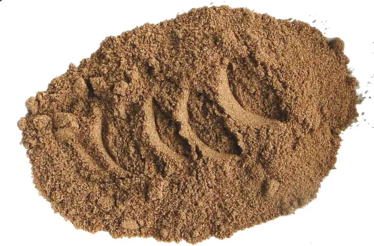 Kolendra mielona: Jak odmienić smak dań? Pełny przewodnik