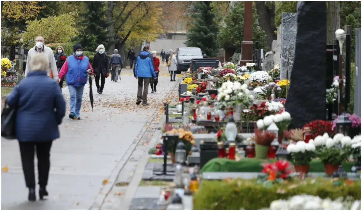 Czy można z psem na cmentarz? Przepisy i zasady w Polsce