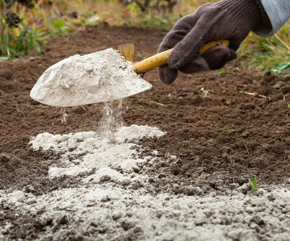 Nawóz wapniowo-magnezowy: Stosuj mądrze! Poradnik krok po kroku