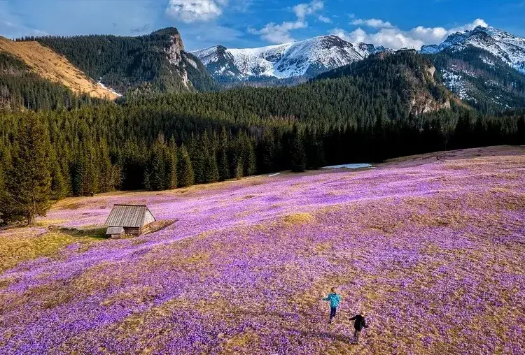 Najlepsze trasy i szlaki rowerowe w okolicy Doliny Kościeliskiej 2024