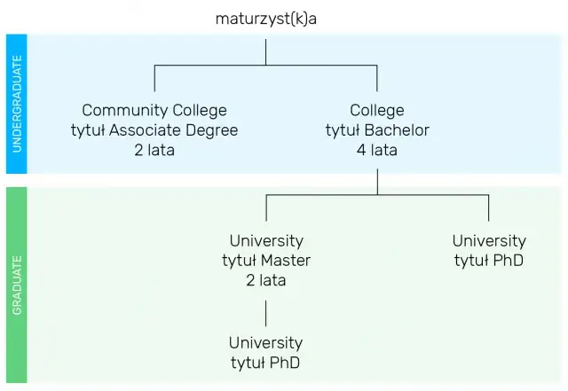 Czy po studiach licencjackich można iść na dowolne studia magisterskie? Sprawdź wymagania