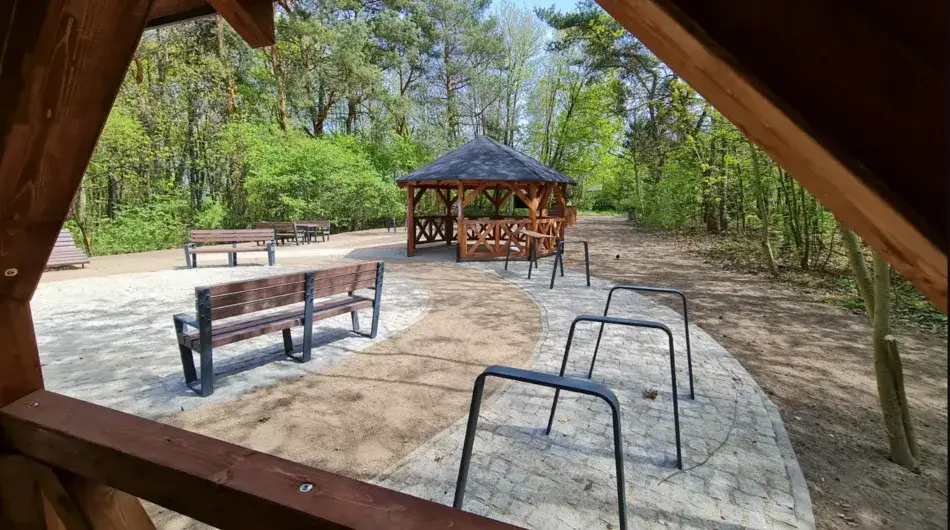 Najlepsze miejsca na spacer w Gdańsku, które musisz poznać