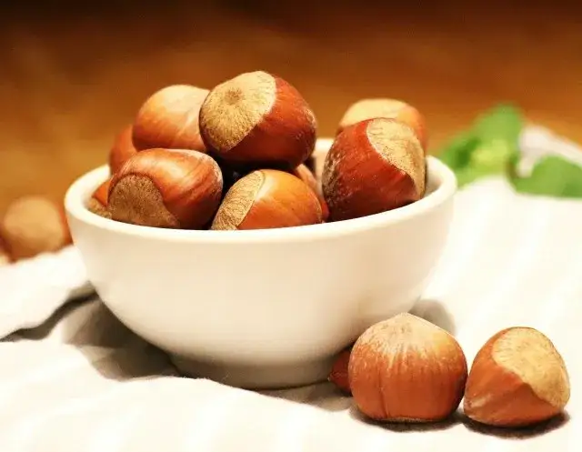 Orzechy laskowe tuczą? Klucz do jedzenia bez obaw o wagę