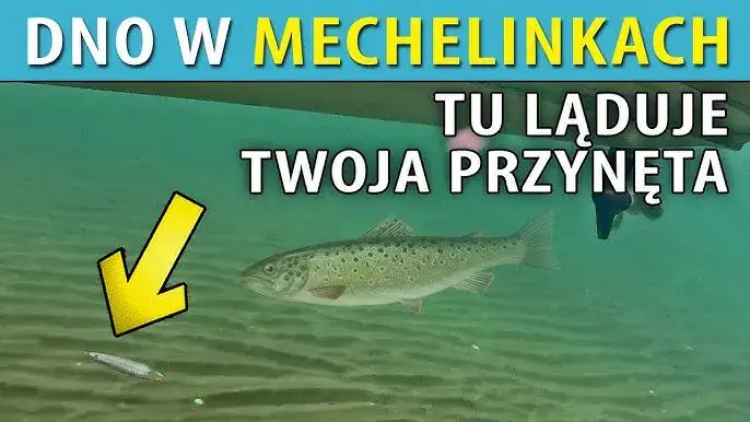 Mechelinki: Gdzie zjeść? Najlepsze ryby i widoki na Zatokę.