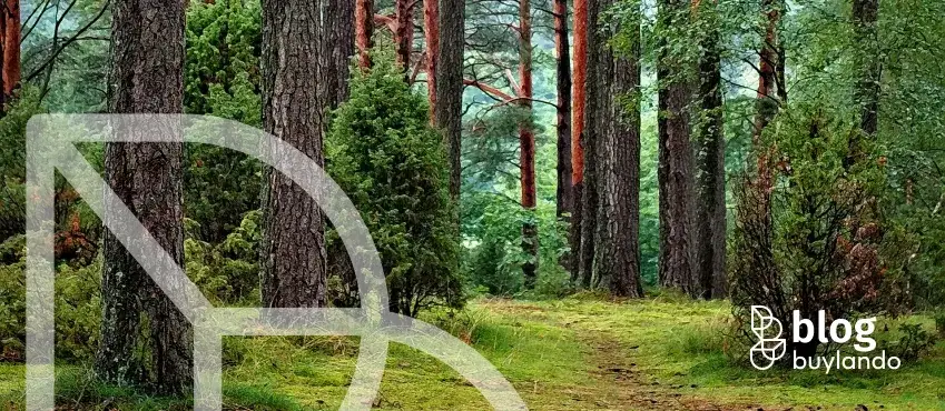 Działka nad jeziorem w Borach Tucholskich: Co musisz wiedzieć?