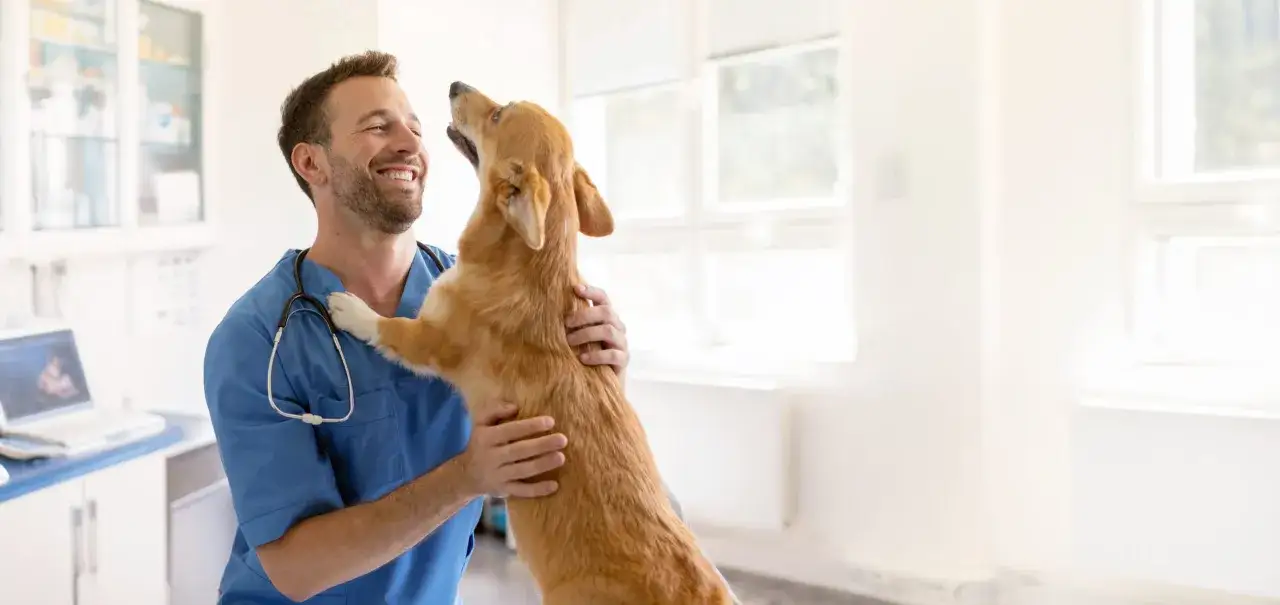 Uśmiechnięty weterynarz w niebieskiej bluzie trzyma psa. Zastanawiasz się, ile zarabia weterynarz w Szwajcarii?