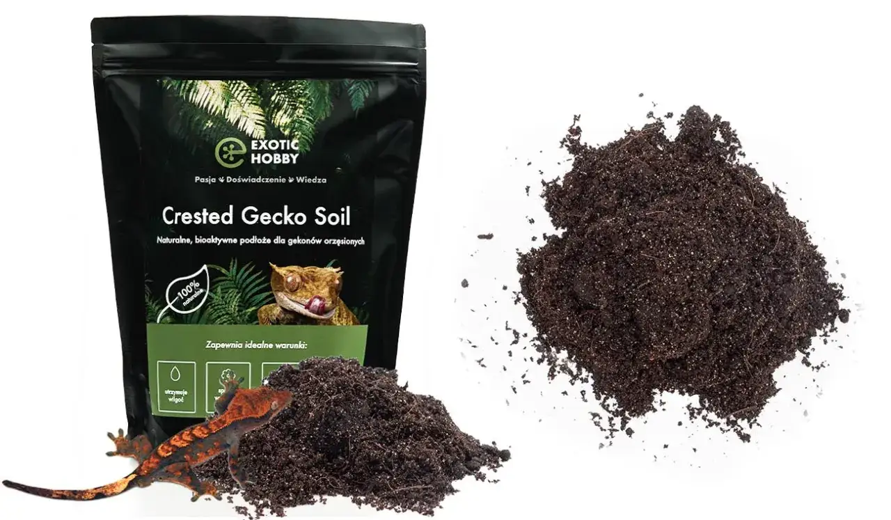 Jakie podłoże dla gekona orzęsionego zapewni mu zdrowie i bezpieczeństwo?