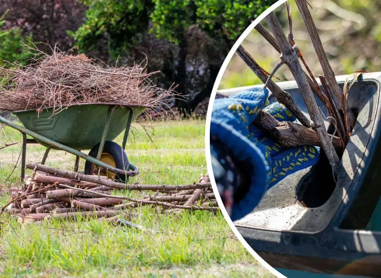 Jak pozbyć się gałęzi z działki bez kłopotów i zgodnie z prawem