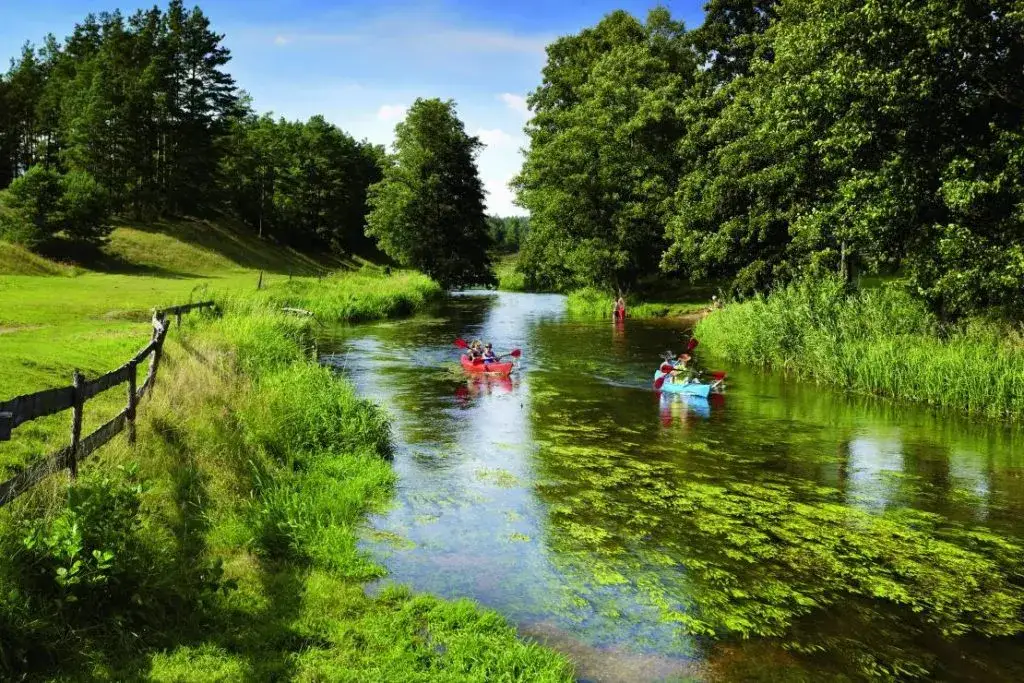 Kajaki w Polsce: Gdzie na spływ? Przewodnik po najlepszych szlakach!