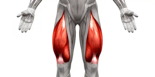 Todo sobre el músculo del cuádriceps femoral: funciones y lesiones
