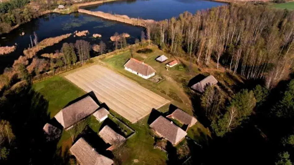 Skansen Kolbuszowa godziny otwarcia – nie przegap idealnego czasu na wizytę