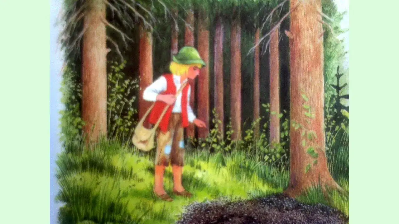 Baśń o szewczyku dratewce: tajemnice, które zaskakują i uczą