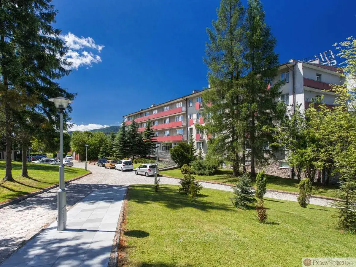 Wysowa-Zdrój: Sanatoria NFZ i prywatne. Jak wybrać idealne?