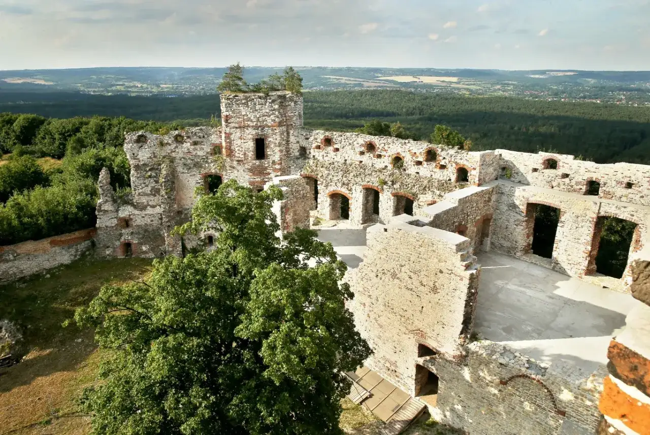 Ruiny zamku Tenczyn z wieżą i murami, otoczone zielenią, z widokiem na dolinę.