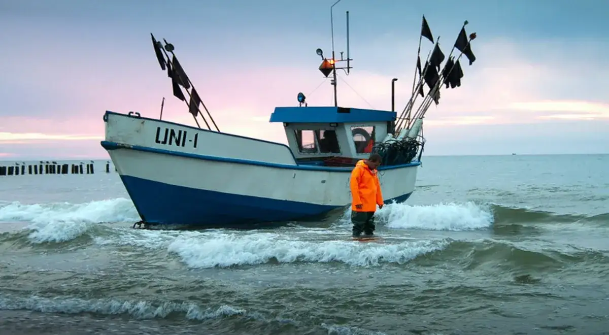 Czy można łowić dorsza w Bałtyku? Sprawdź ważne zasady i limity