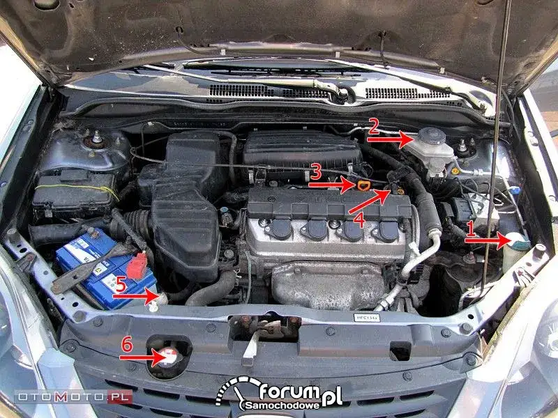 Honda Civic: Gdzie i jaki płyn wlać? Uniknij błędów!