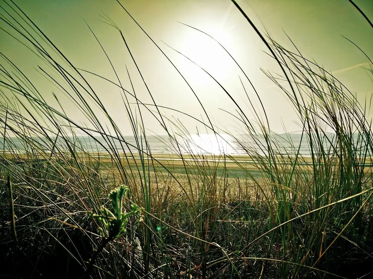 Nad jakim morzem leży Holandia? Odkryj kluczowe fakty geograficzne