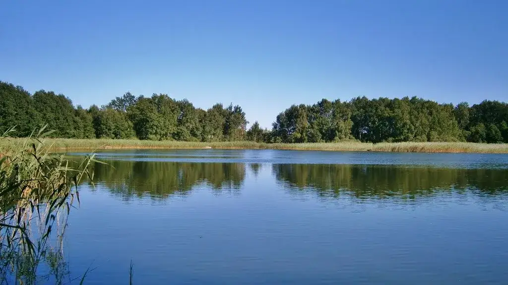 Jezioro Brzeźno: Kujawski raj dla wędkarzy i tajemnica wyspy 1976