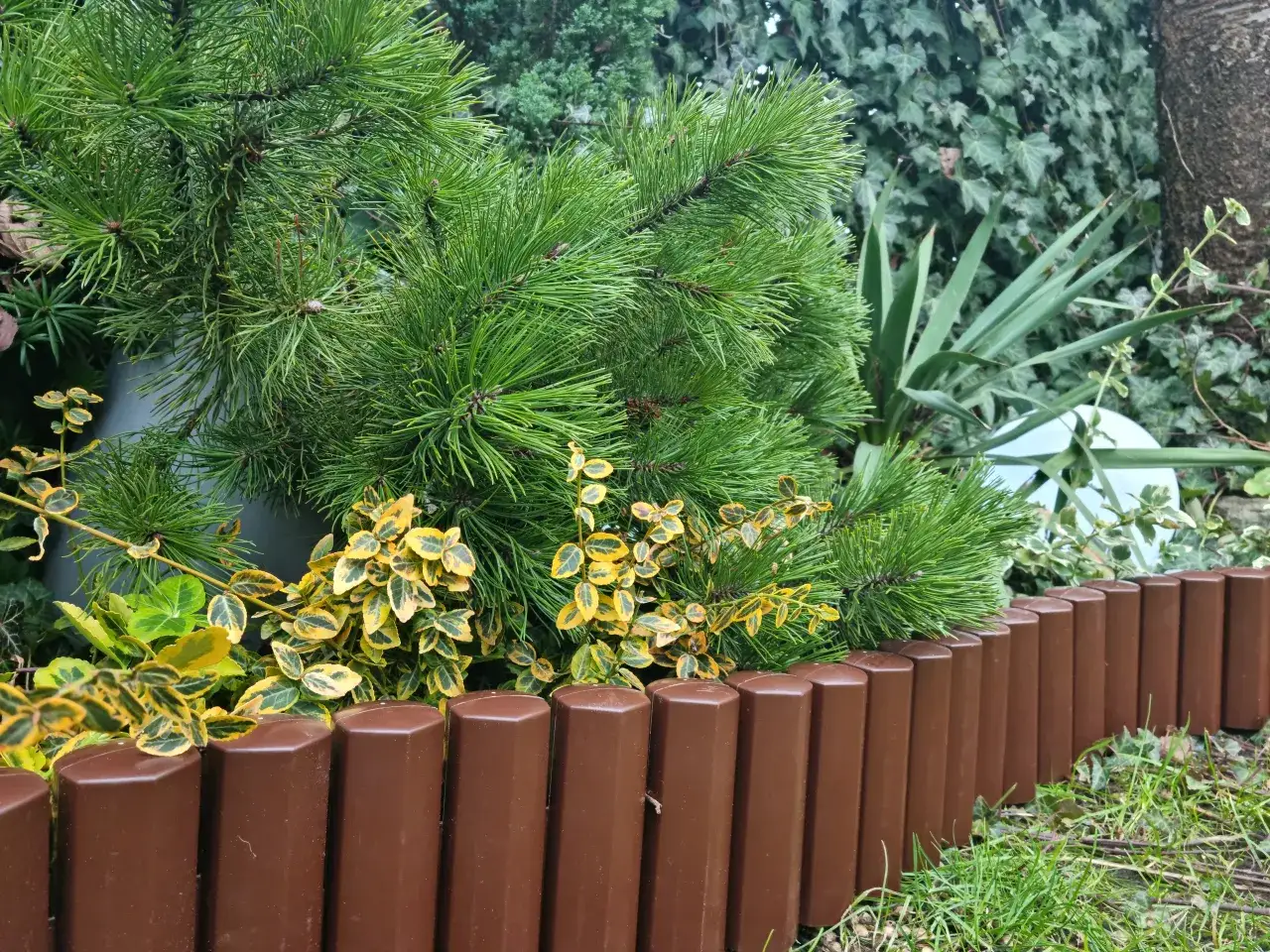 Jak układać palisady ogrodowe plastikowe - proste kroki i porady