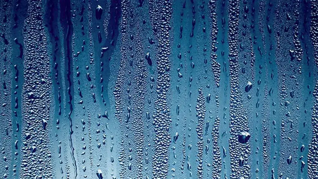 Jak zapobiec skraplaniu się wody na oknach i uniknąć wilgoci w domu