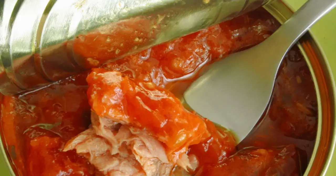 Ryba z puszki dla psa: Kiedy tak, a kiedy unikać?