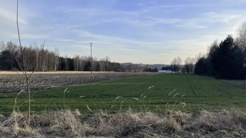 Czy ceny działek spadną? Co wpłynie na ich wartość w przyszłości?