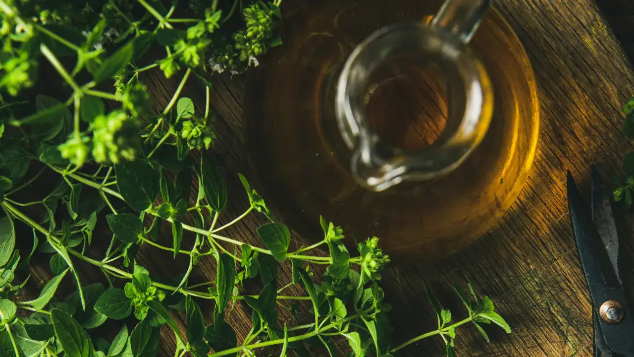 Jak zrobić olej z oregano? Prosty i bezpieczny przepis na macerat