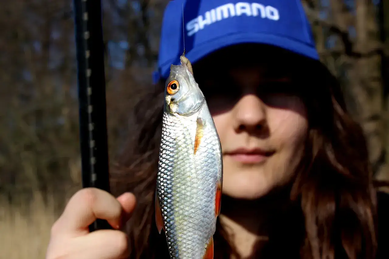 Jak skutecznie uzbroić wędkę bat, aby złowić więcej ryb