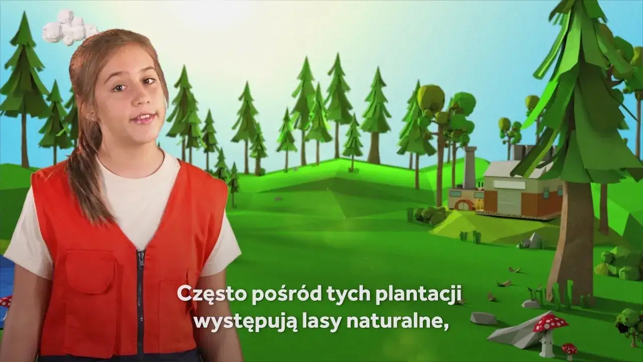 Jak powstaje papier film edukacyjny – zrozumienie dla dzieci