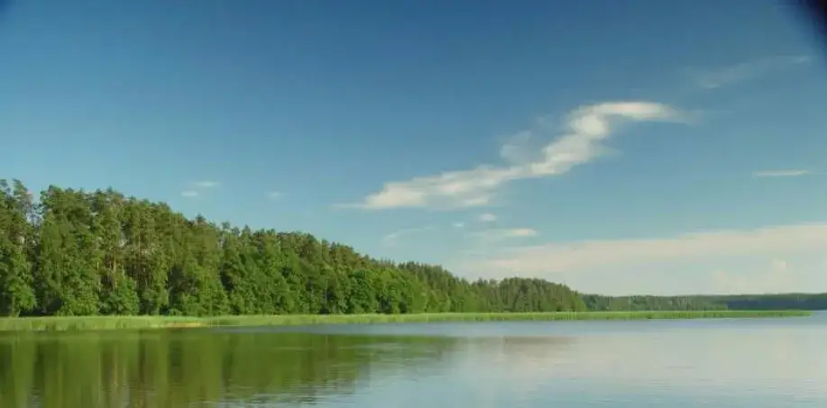Jezioro Białe Filipowskie: Odkryj perłę Suwalszczyzny i jej sekrety