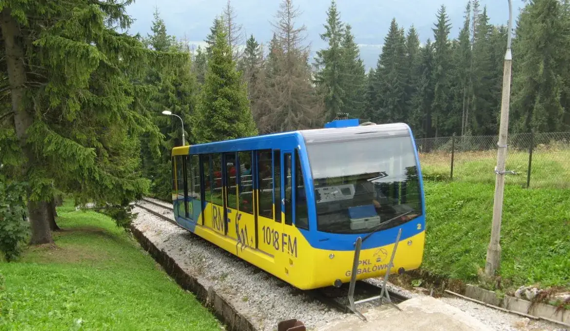 Aktualne ceny przejazdu ciuchcią w Dolinie Chochołowskiej - wszystko co musisz wiedzieć
