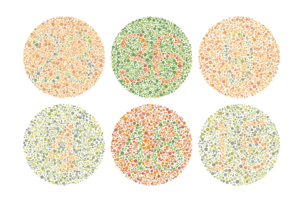 Daltonizm: Jak widzisz kolory? Przyczyny, testy i życie codzienne