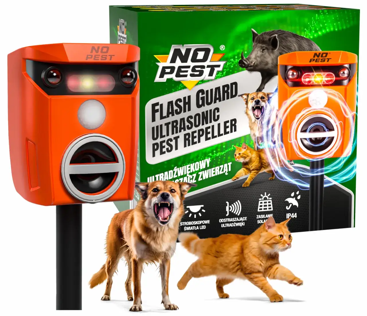 Skuteczne sposoby na odstraszenie kotów z działki bez szkody dla zwierząt