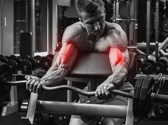 Ile razy w tygodniu ćwiczyć biceps? Dwa treningi to złoty standard!