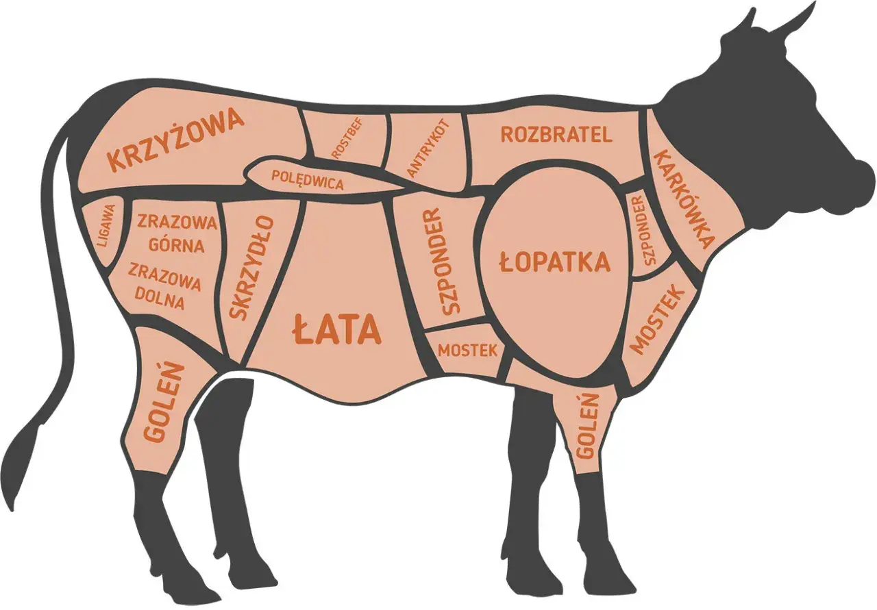 Wołowina co to za mięso? Poznaj jej pochodzenie i zastosowanie