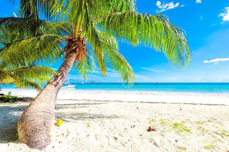 Jamajka czy jest bezpiecznie? Poznaj ryzyka i bezpieczne miejsca