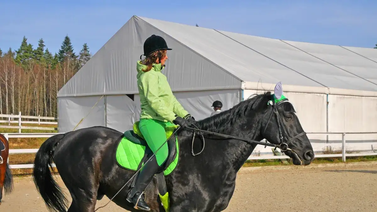 Technikum jeździectwa w Jordanowie - unikalne możliwości kształcenia
