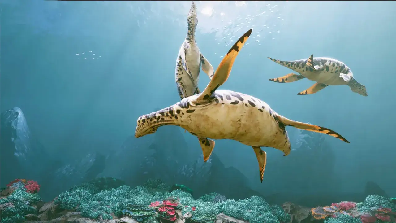 Oceanarium Małopolska - atrakcje, godziny otwarcia i wyjątkowe doświadczenia