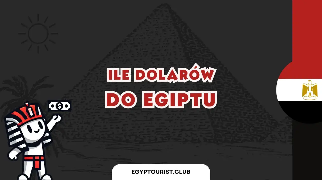Ile dolarów do Egiptu na tydzień? Urocza postać w stroju faraona trzyma banknot, a w tle piramida i flaga Egiptu.