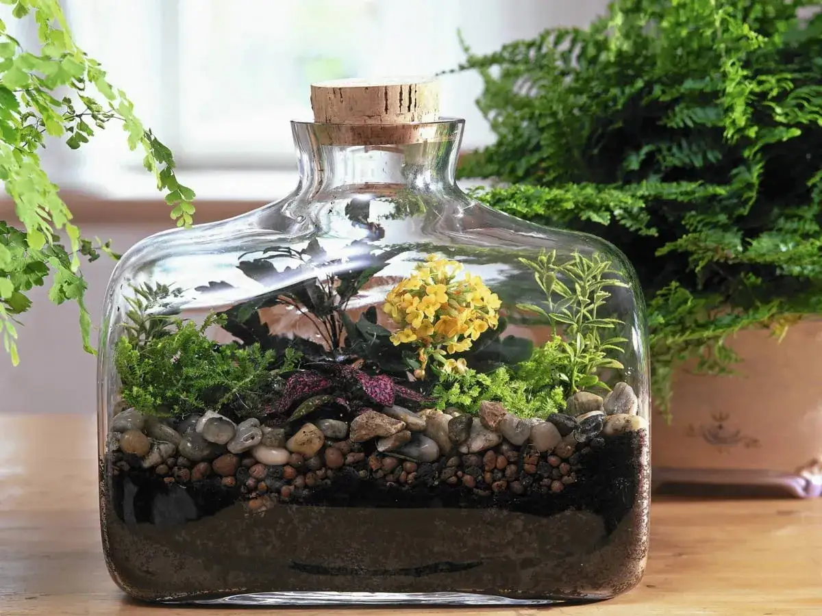 Jak zrobić ogród w szkle - krok po kroku, uniknij najczęstszych błędów