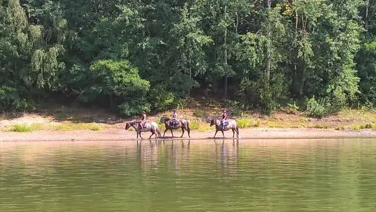 Stadnina Izery - Odkryj unikalne hodowle koników polskich i agroturystykę