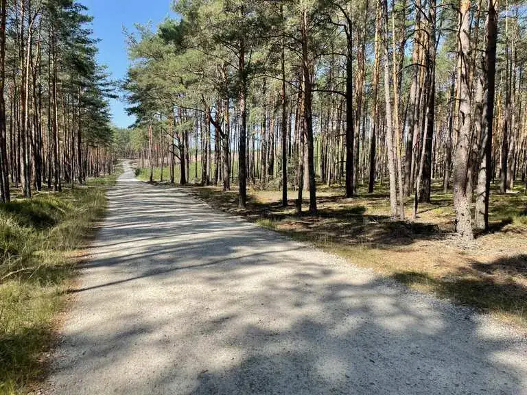 Najlepsze atrakcje w Sierakowie, które musisz zobaczyć latem