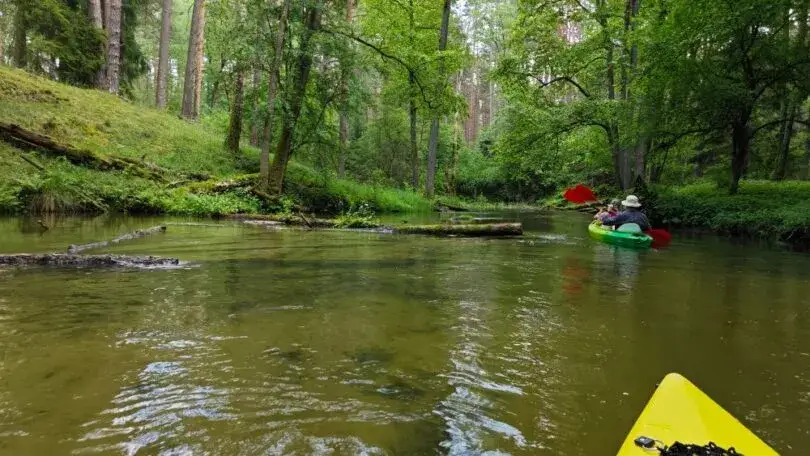 Spływ kajakowy Marózką: Planuj przygodę! Trasy, ceny, porady