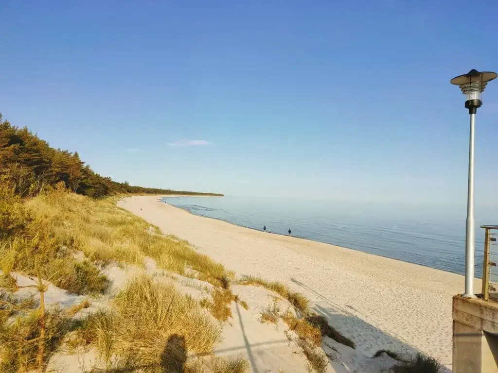 Atrakcje w Grzybowie, które musisz zobaczyć podczas wakacji