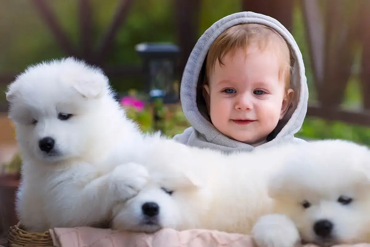 Jaką rasę psa dla dziecka wybrać, by uniknąć problemów?